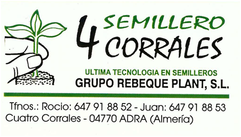 WEB EN CONSTRUCCIN